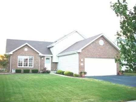 25610 Jonquil Ln, Monee, IL 60449 photo 1