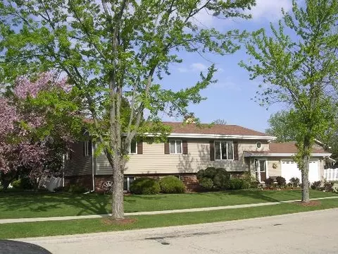 223 Aux Sable Dr, Minooka, IL 60447 photo 1