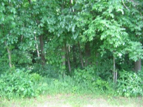 2946 E 1479th Rd, Ottawa, IL 61350 photo 3
