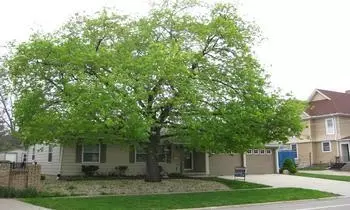 106 E South, Morrison, IL 61270 photo 1