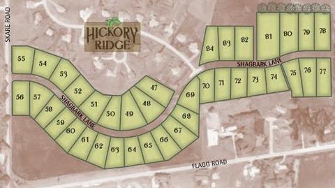 Lot 50 Shagbark Lane, Rochelle, IL 61068