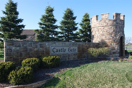 25955 Castle Gate Dr, Monee, IL 60449 photo 16
