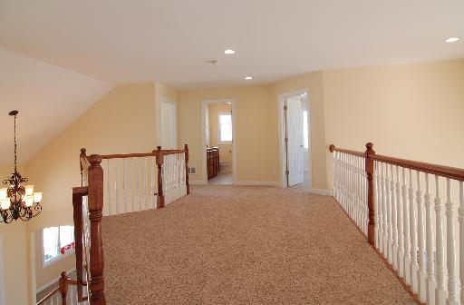 25955 Castle Gate Dr, Monee, IL 60449 photo 9