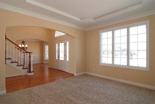 25955 Castle Gate Dr, Monee, IL 60449 photo 4