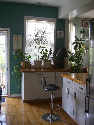 4308 N Kenmore #3, Chicago, IL 60613 photo 6
