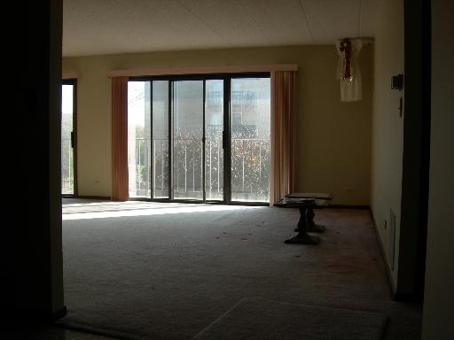 1660 E Thacker St #2B, Des Plaines, IL 60016 photo 6