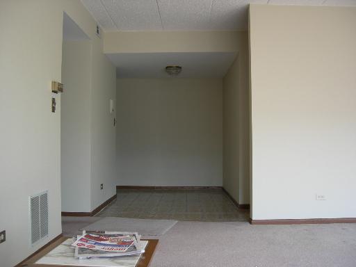 1660 E Thacker St #2B, Des Plaines, IL 60016 photo 5
