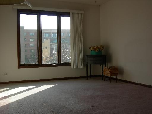 1660 E Thacker St #2B, Des Plaines, IL 60016 photo 8