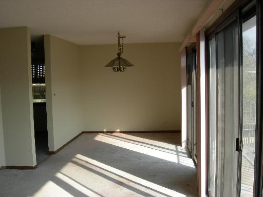 1660 E Thacker St #2B, Des Plaines, IL 60016 photo 4