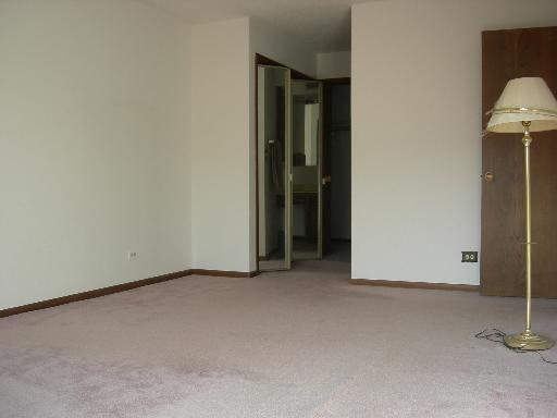 1660 E Thacker St #2B, Des Plaines, IL 60016 photo 7