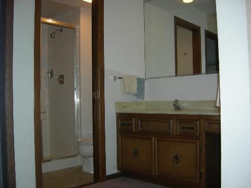1660 E Thacker St #2B, Des Plaines, IL 60016 photo 9