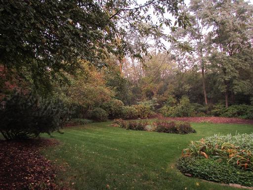 53 Circle Ave, Wheaton, IL 60187 photo 14
