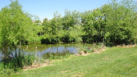 680 W Huron Hills Trl, Round Lake, IL 60073 photo 4