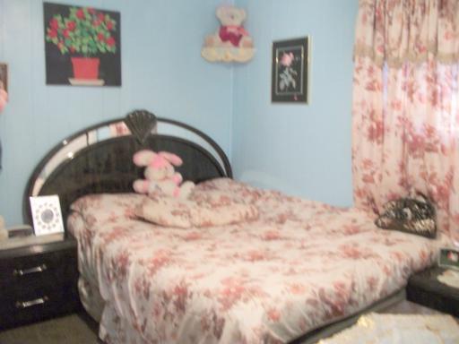 815 E Galena Blvd, Aurora, IL 60505 photo 5