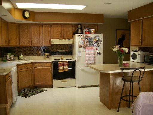 520 Columbia Ave, Elgin, IL 60120 photo 5