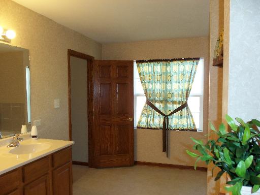 1877 Eagle Dr, Morris, IL 60450 photo 13