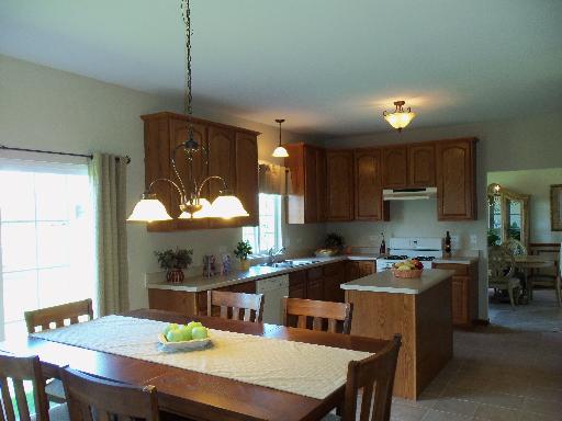 1877 Eagle Dr, Morris, IL 60450 photo 4