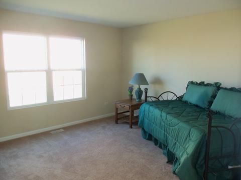1874 Eagle Dr, Morris, IL 60450 photo 9