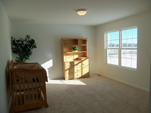 1875 Harbor Dr, Morris, IL 60450 photo 24