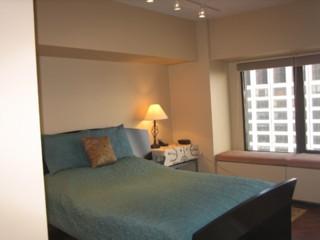 175 E Delaware Pl #6908, Chicago, IL 60611 photo 9