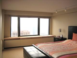 175 E Delaware Pl #6908, Chicago, IL 60611 photo 11
