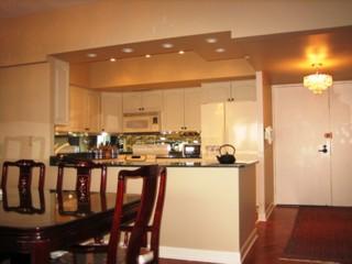 175 E Delaware Pl #6908, Chicago, IL 60611 photo 5