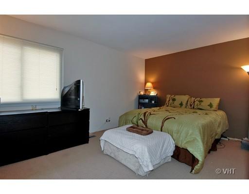 1661 Cornell Dr #22A, Hoffman Estates, IL 60169 photo 7