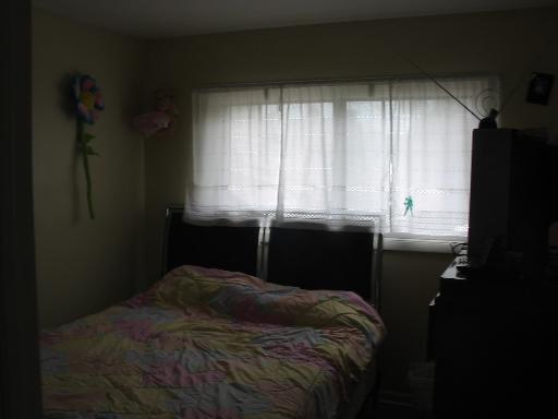 519 W Castle St, Addison, IL 60101 photo 6