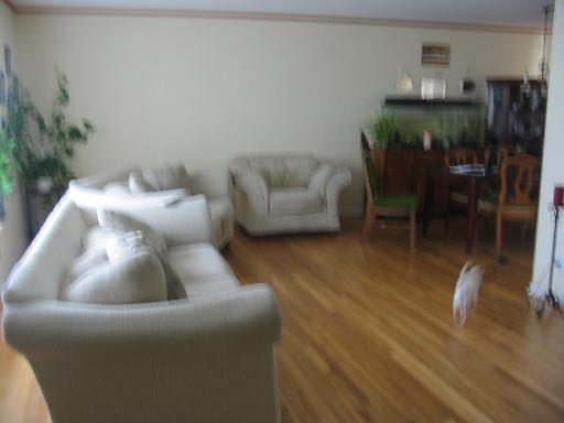 519 W Castle St, Addison, IL 60101 photo 3