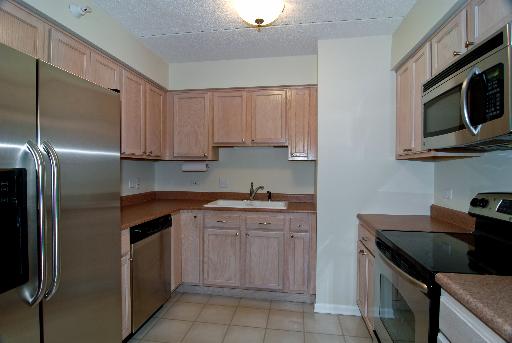 435 William St #204, River Forest, IL 60305 photo 5
