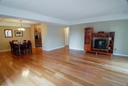 435 William St #204, River Forest, IL 60305 photo 3