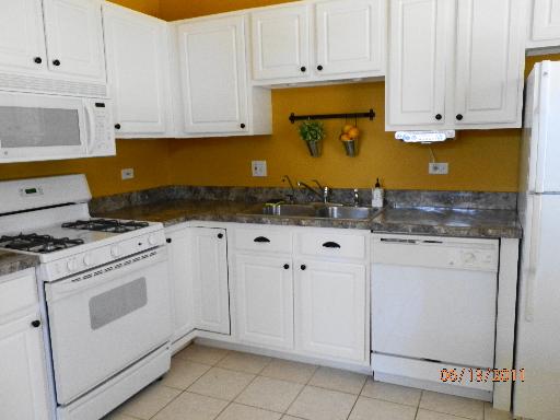 1316 Fox Hound Trl, Beecher, IL 60401 photo 3