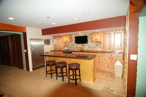 814 Franklin Ave, River Forest, IL 60305 photo 16