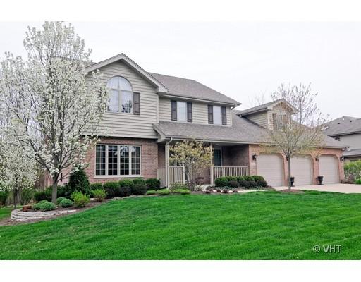 20207 Kluth Dr, Mokena, IL 60448 photo 1