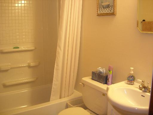 184 E Plank Rd, Burlington, IL 60109 photo 13