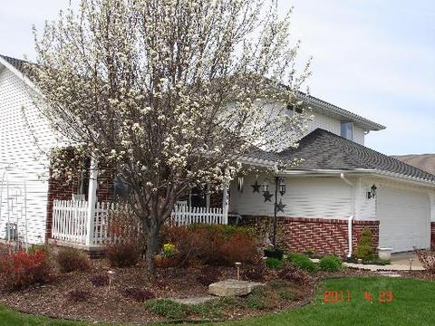 2616 Switch Grass Rd, Morris, IL 60450 photo 8
