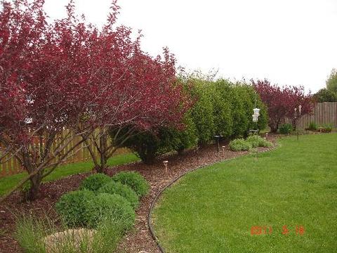 2616 Switch Grass Rd, Morris, IL 60450 photo 15