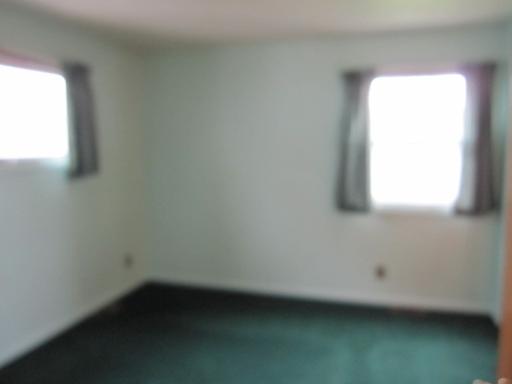 233 E Pells St, Paxton, IL 60957 photo 6