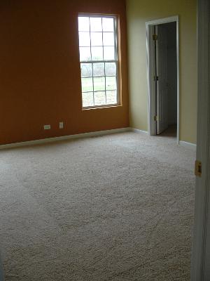 30145 Autumn Dr, Beecher, IL 60401 photo 7