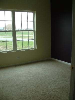30145 Autumn Dr, Beecher, IL 60401 photo 8