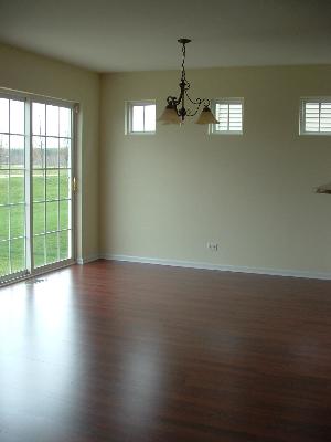 30152 Autumn Dr, Beecher, IL 60401 photo 5