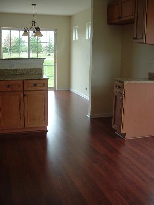 30152 Autumn Dr, Beecher, IL 60401 photo 4