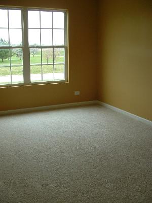 30152 Autumn Dr, Beecher, IL 60401 photo 11