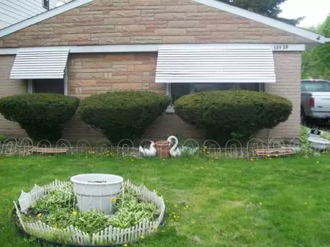 16638 Wolcott Ave, Markham, IL 60426 photo 1