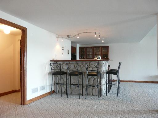 22824 Pilcher Rd, Plainfield, IL 60544 photo 5
