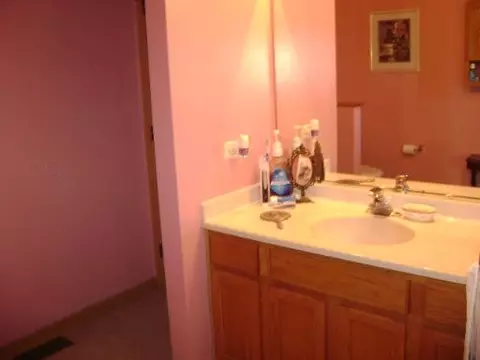 1206 Green Trails Dr, Plainfield, IL 60586 photo 15