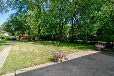 425 Dewey Ave, Evanston, IL 60202 photo 8