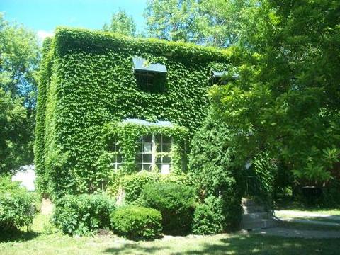 2308 S 17th Ave, Broadview, IL 60155 photo 1