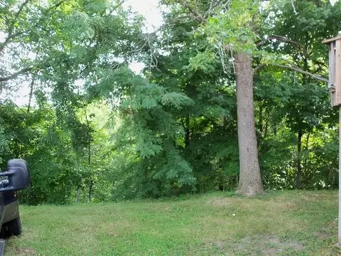 302 Briar Ln, Morris, IL 60450 photo 4