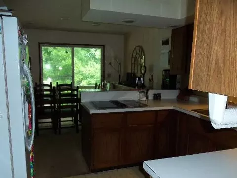 302 Briar Ln, Morris, IL 60450 photo 8